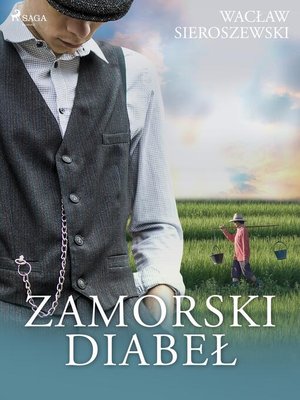 cover image of Zamorski diabeł